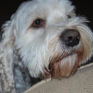 Meet your Posher, Rochelle